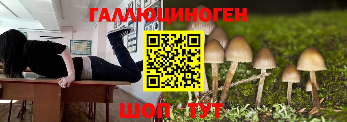 Урай  Псилоцибиновые грибы мухоморы  Вход с VPN 
